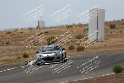 media/May-03-2025-Lucky Dog Racing (Sat) [[206de64b9d]]/Turn 6 (150pm-230pm)/